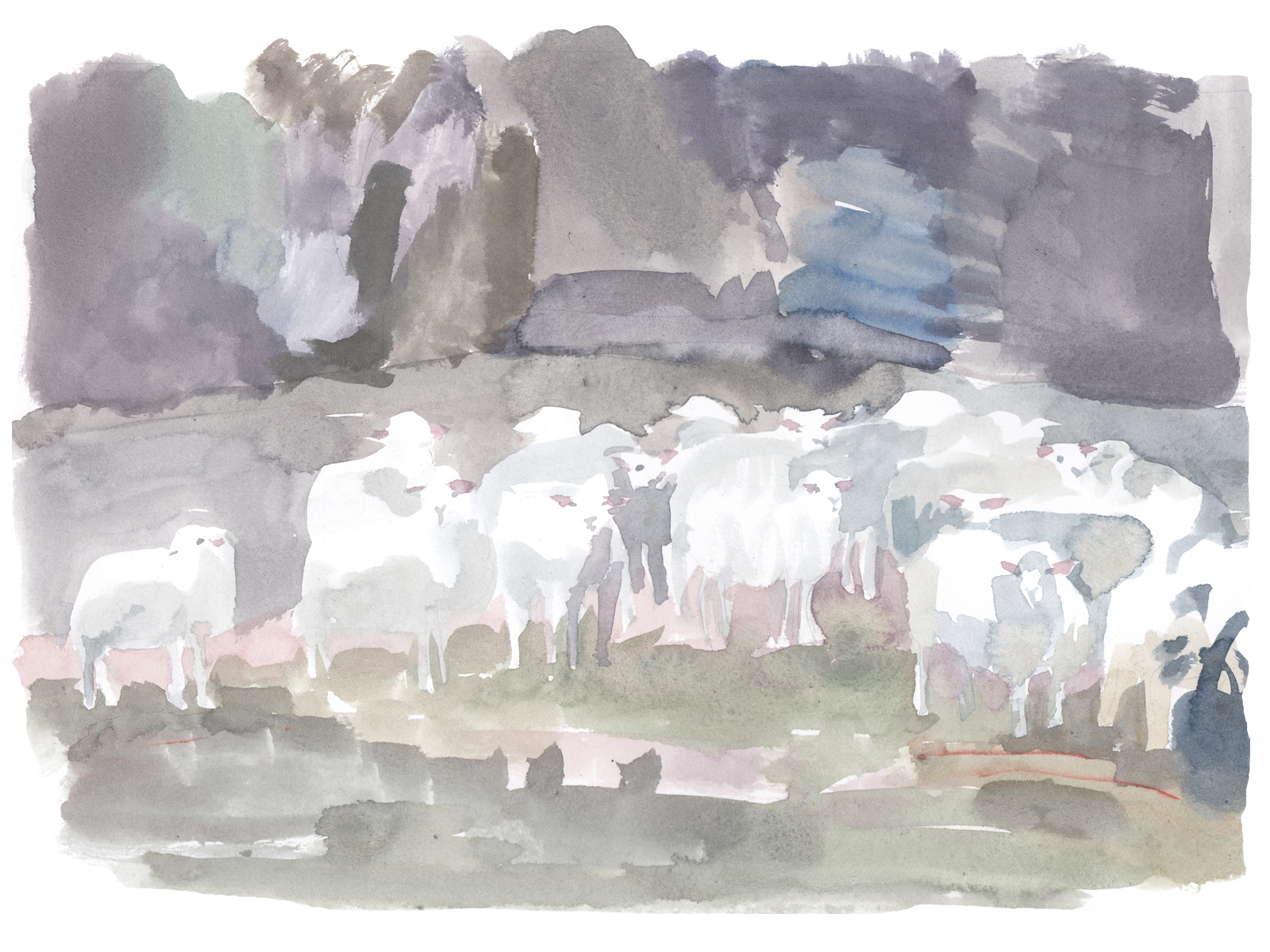 NANIMARQUINA 2019 Pol Montserrat illustrations A new collaboration with Nanimarquina. We created a series of watercolor illustrations to convey the aesthetic values and tone of the new rug collections.